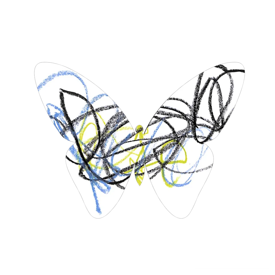 Original Butterfly Image