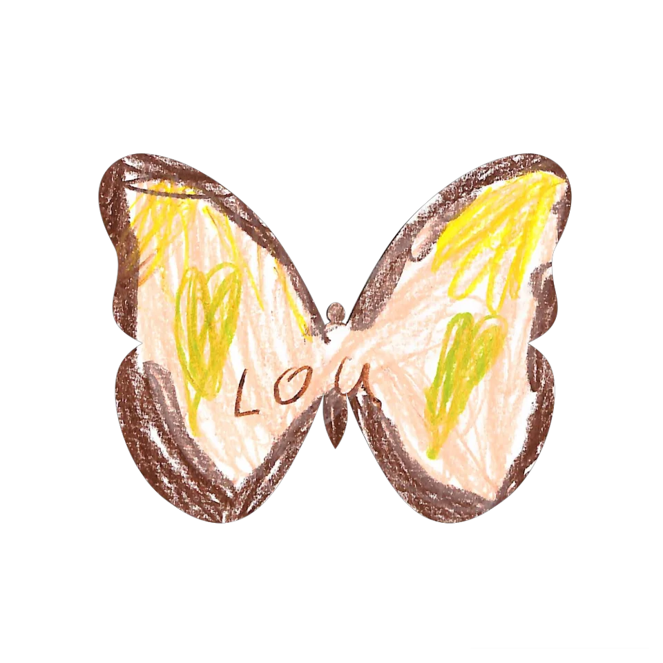 Original Butterfly Image
