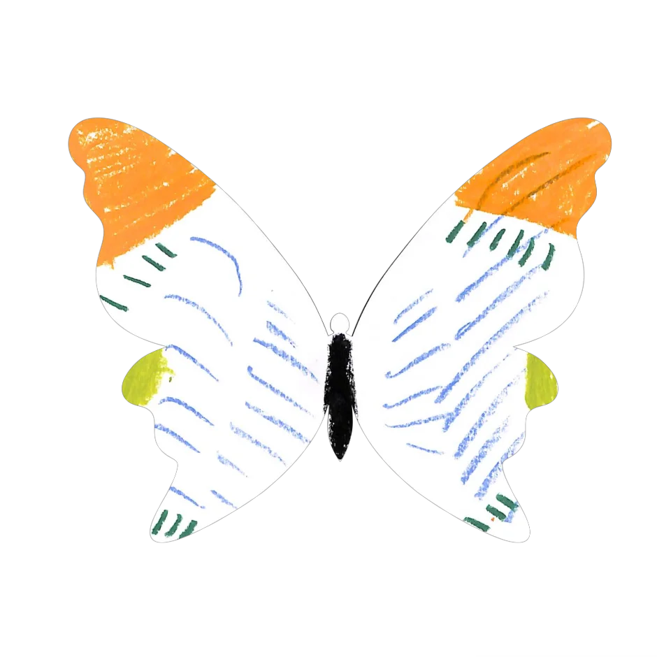 Original Butterfly Image