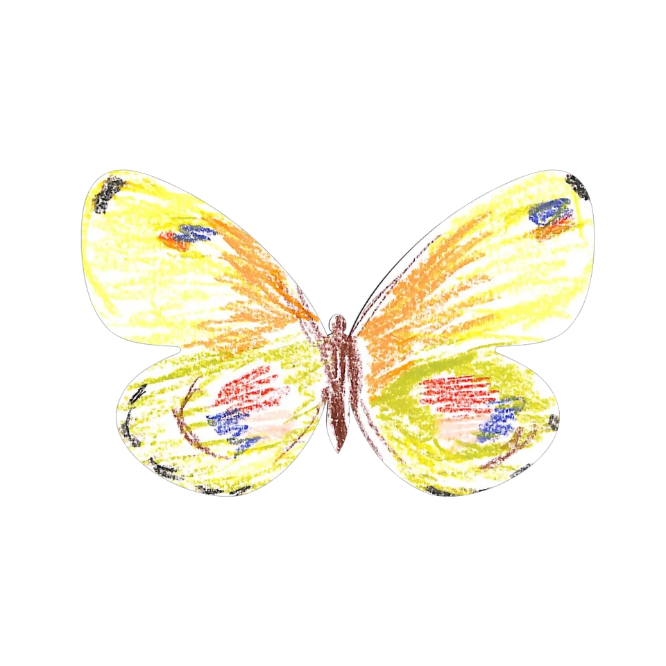 Original Butterfly Image