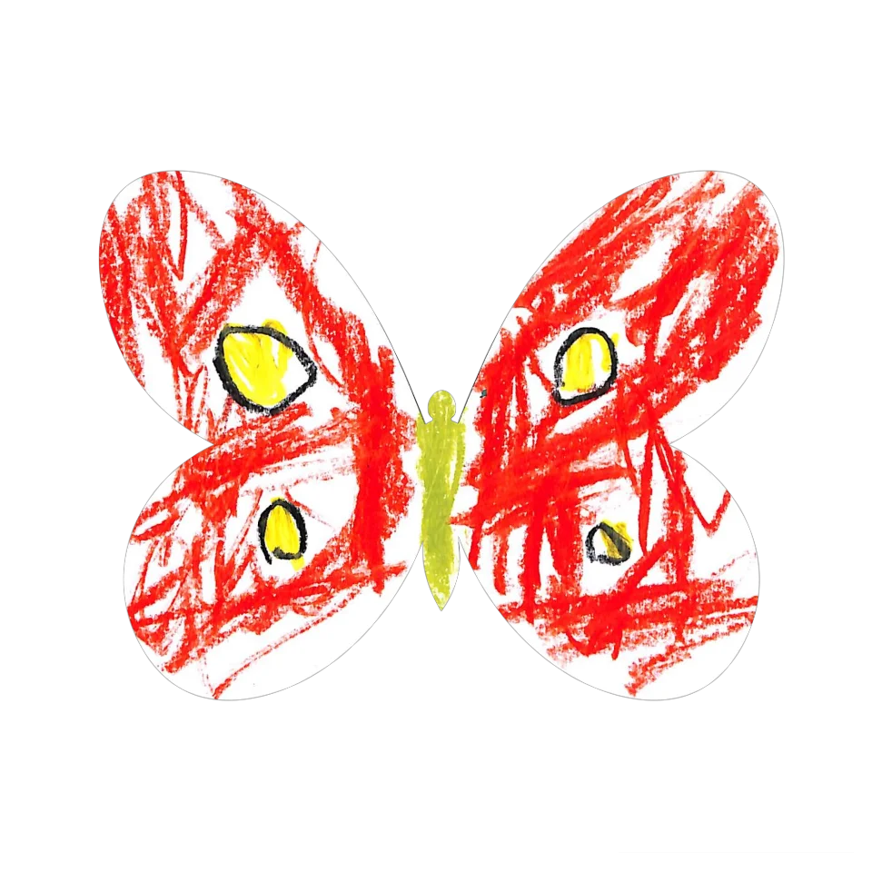 Original Butterfly Image