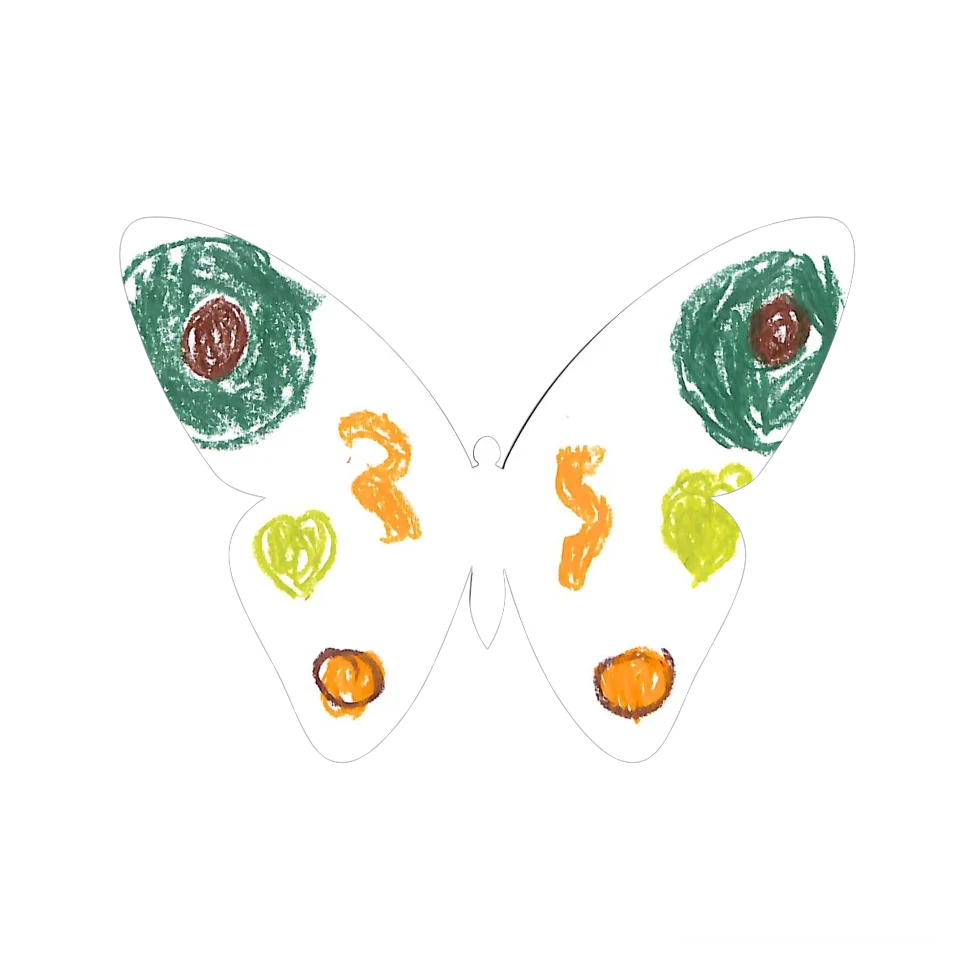 Original Butterfly Image