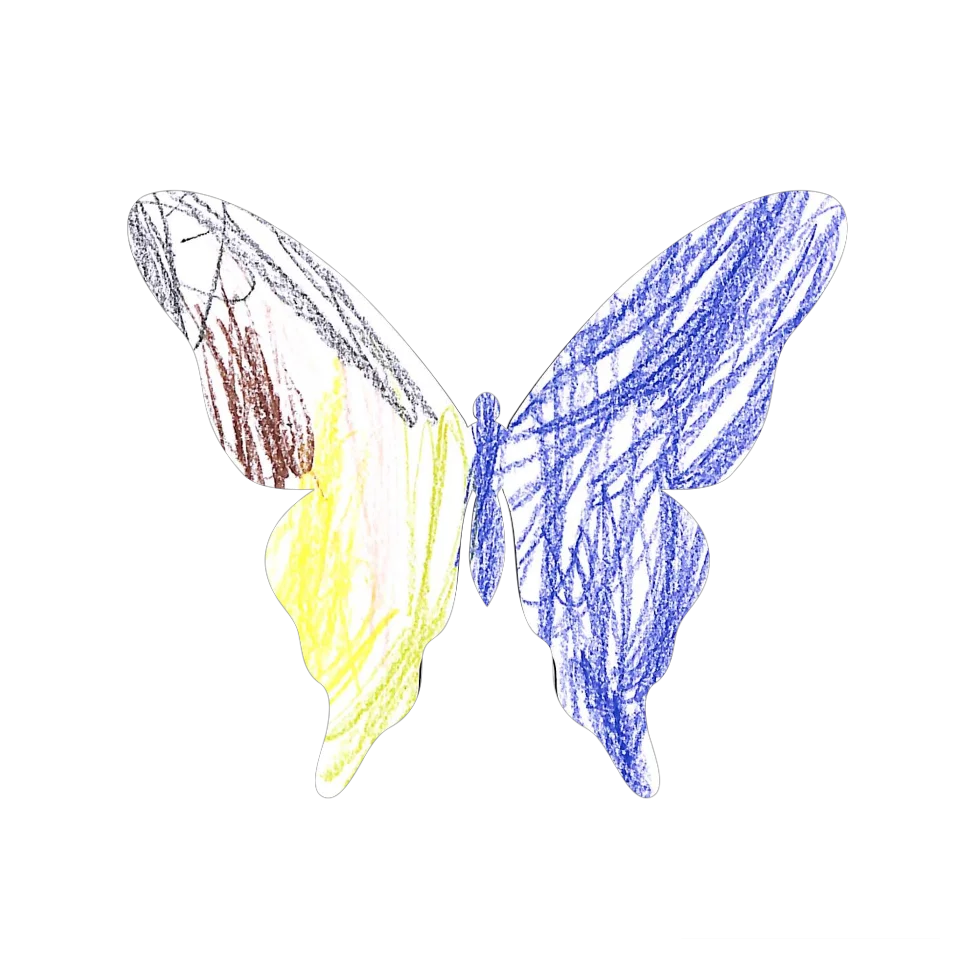 Original Butterfly Image