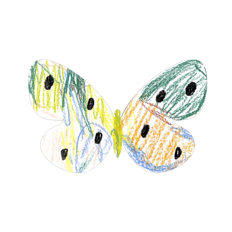 Original Butterfly Image