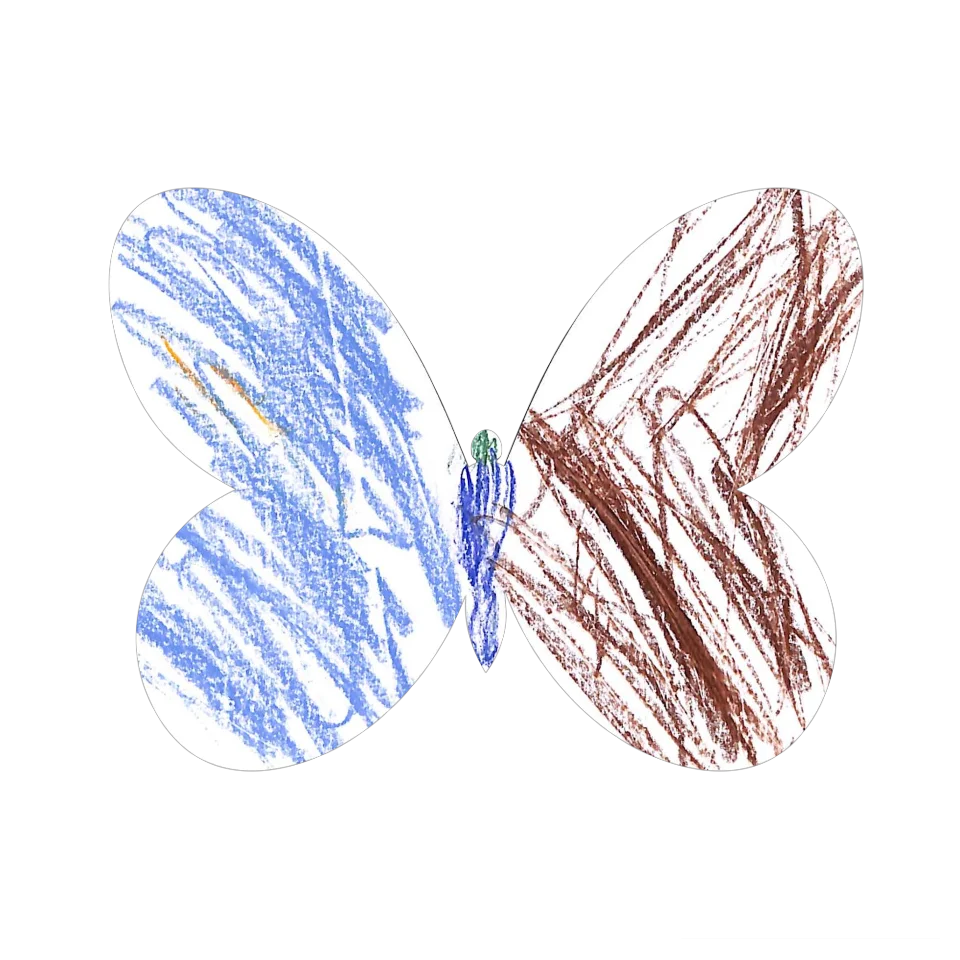 Original Butterfly Image