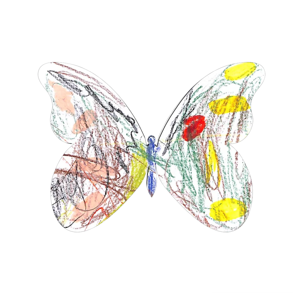 Original Butterfly Image