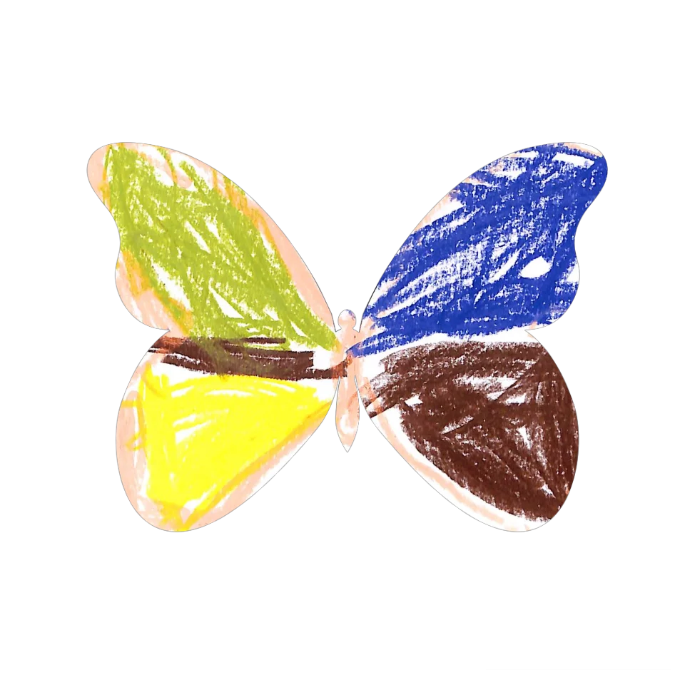 Original Butterfly Image
