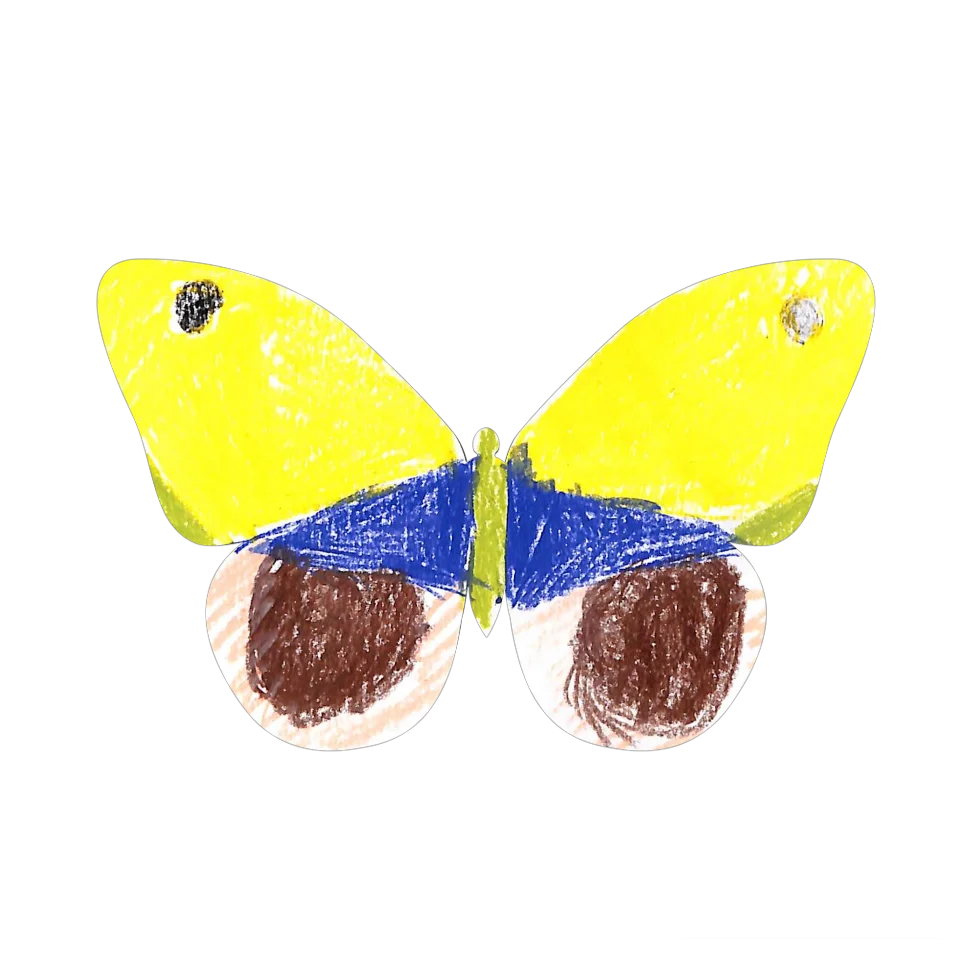 Original Butterfly Image