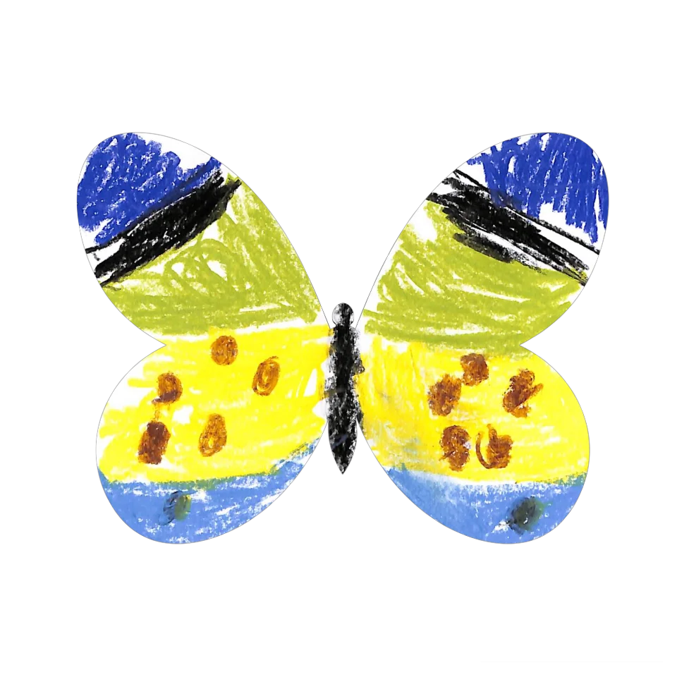 Original Butterfly Image