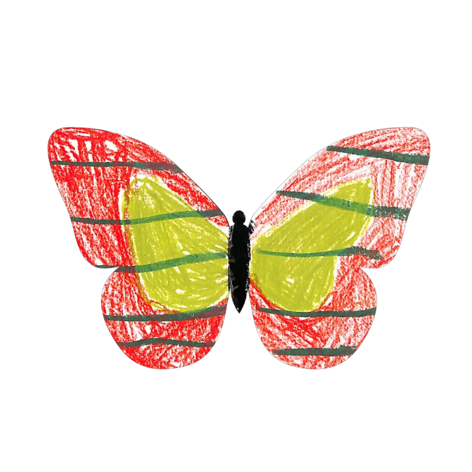 Original Butterfly Image