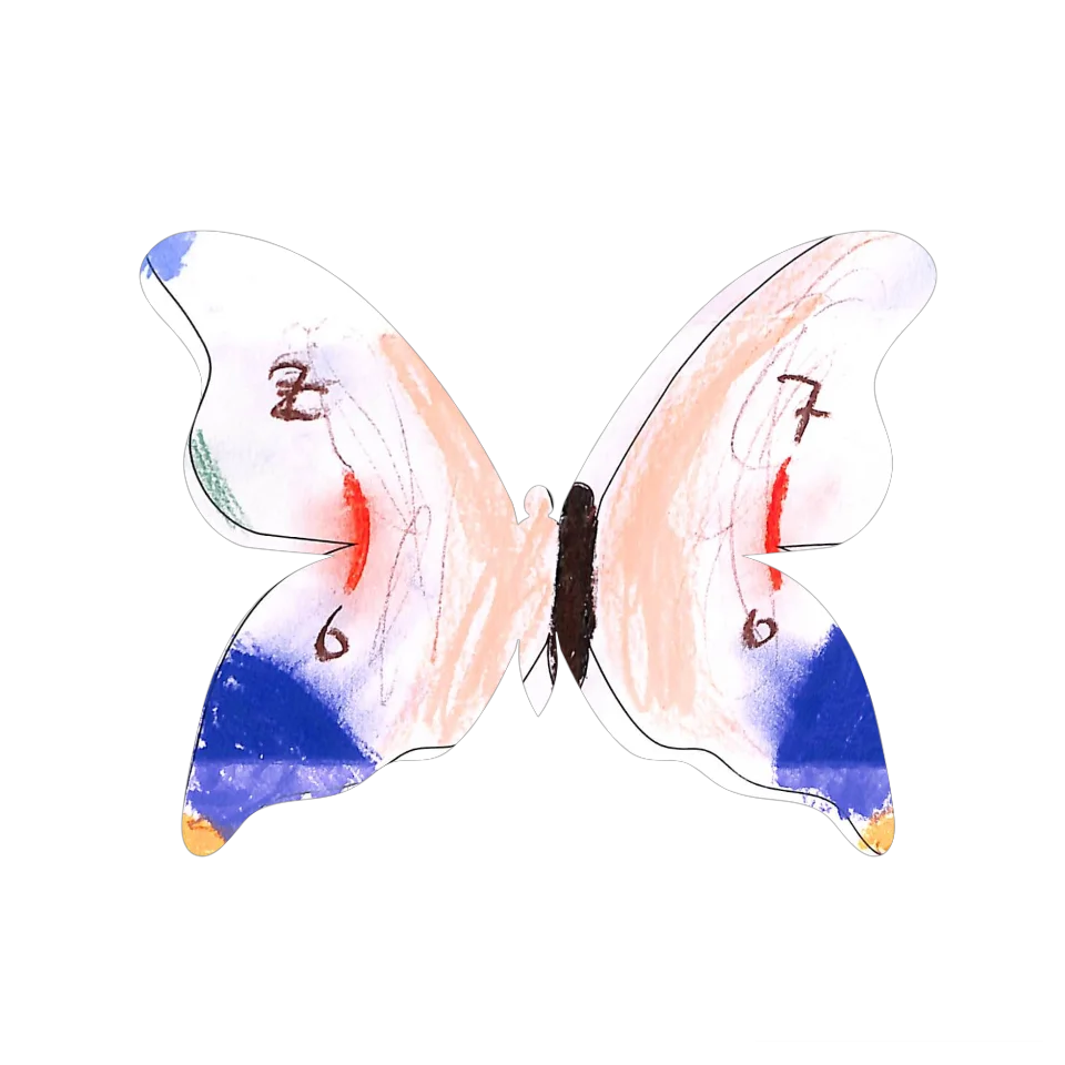 Original Butterfly Image