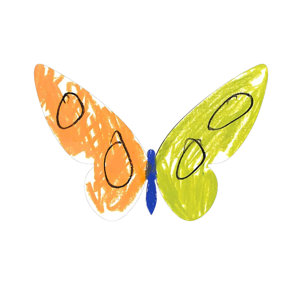 Original Butterfly Image