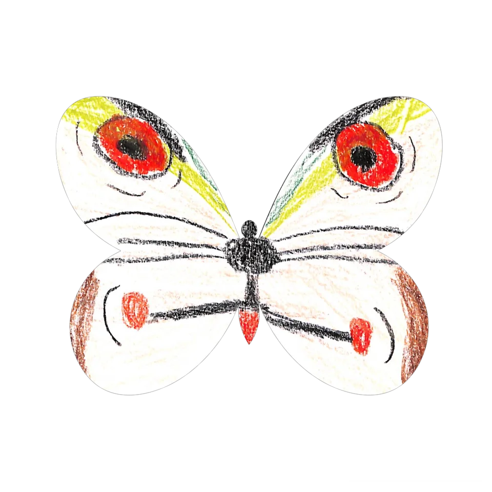 Original Butterfly Image