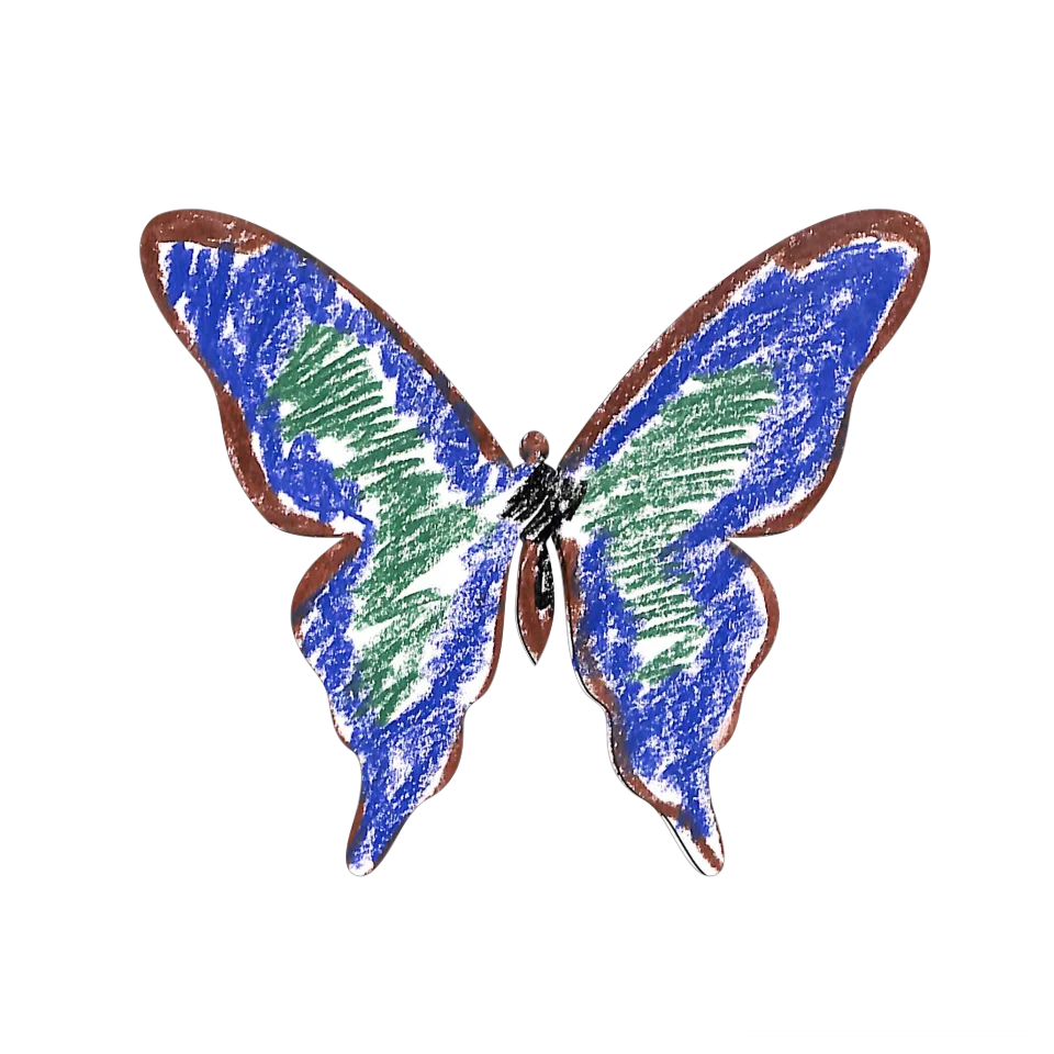 Original Butterfly Image