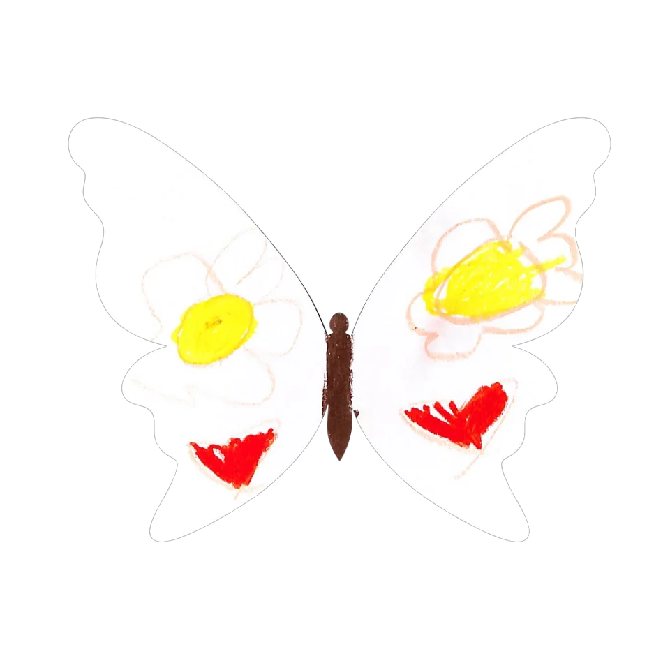 Original Butterfly Image