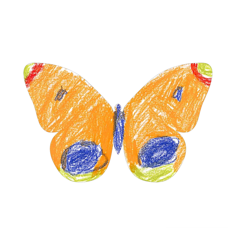 Original Butterfly Image