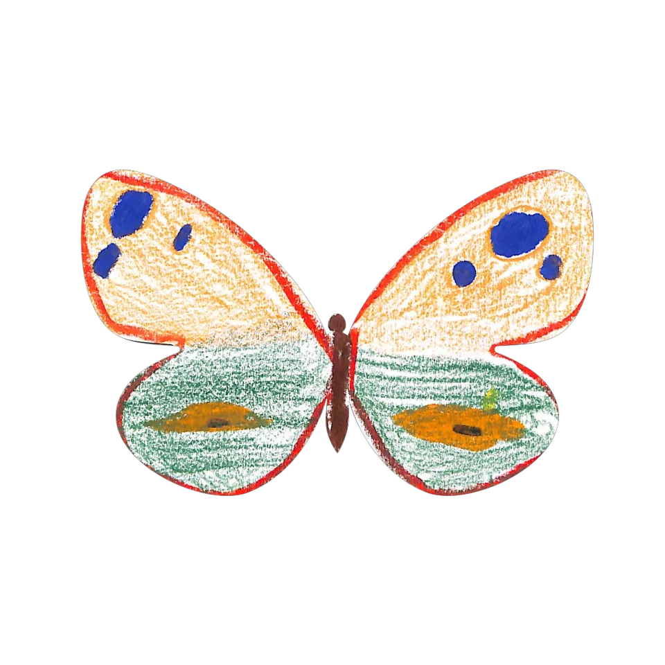 Original Butterfly Image