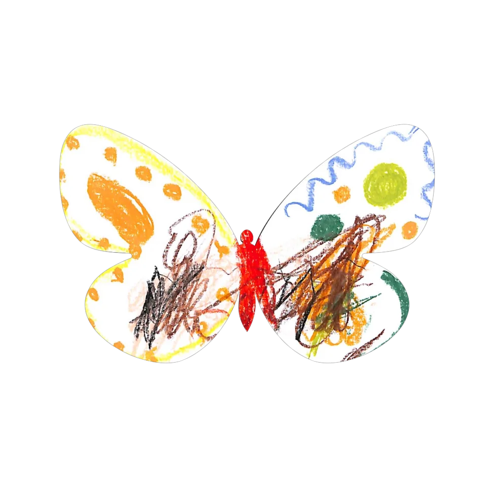 Original Butterfly Image