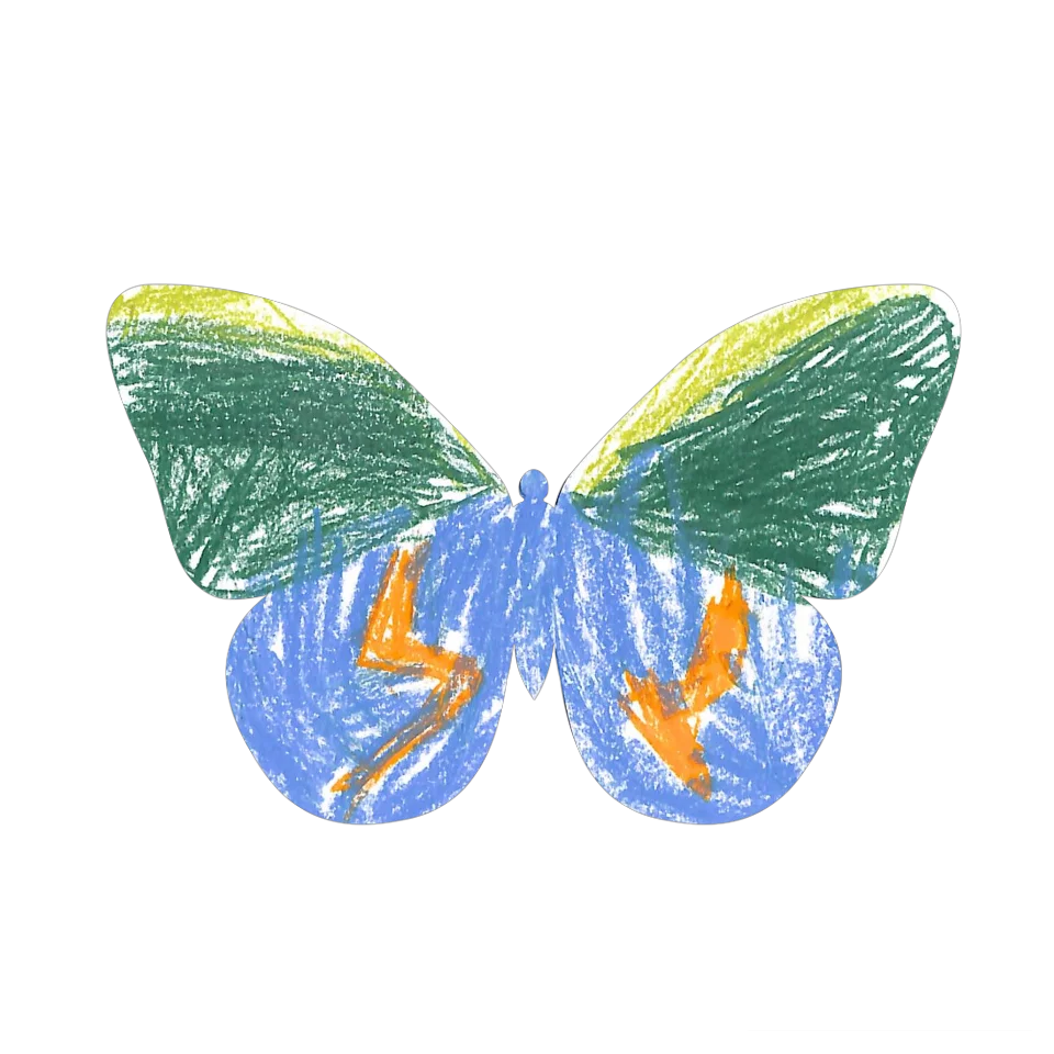 Original Butterfly Image