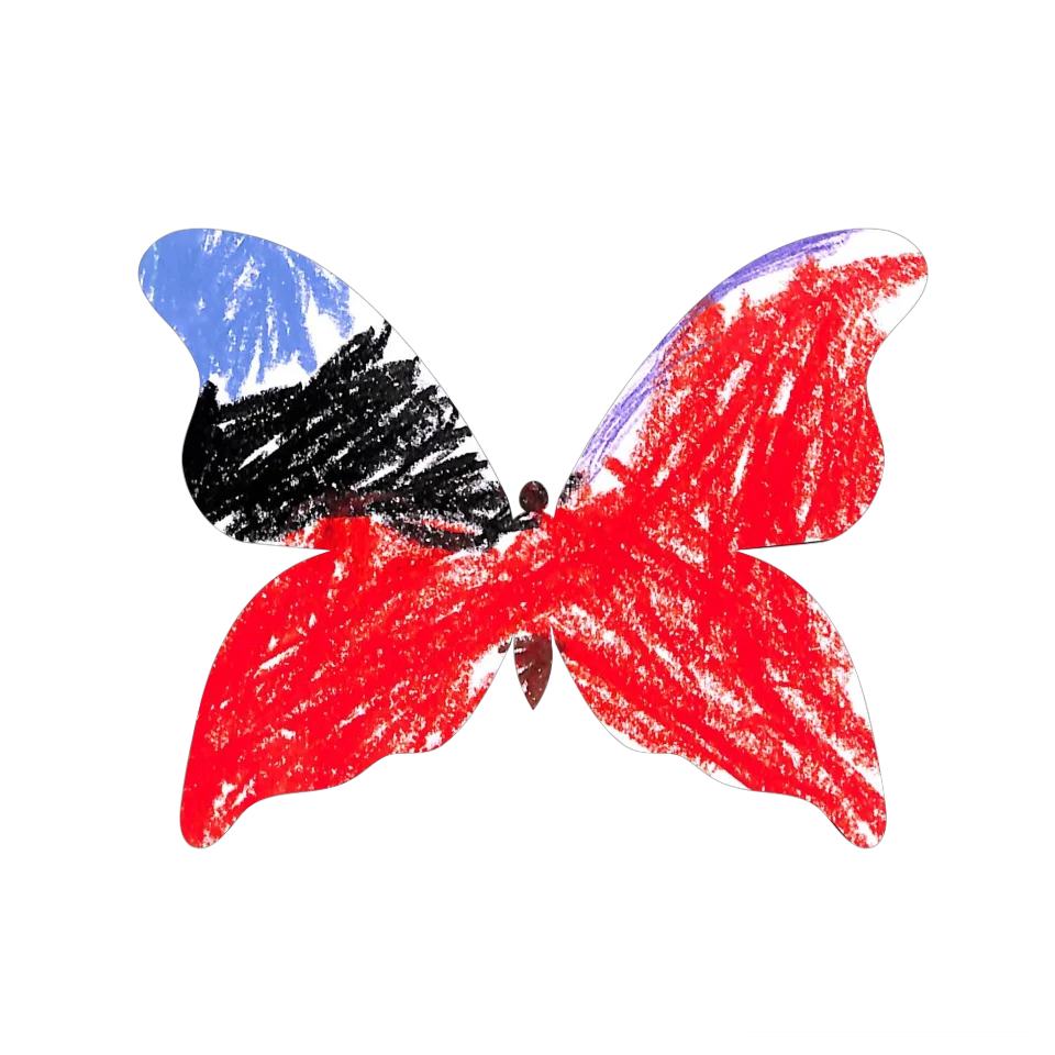 Original Butterfly Image