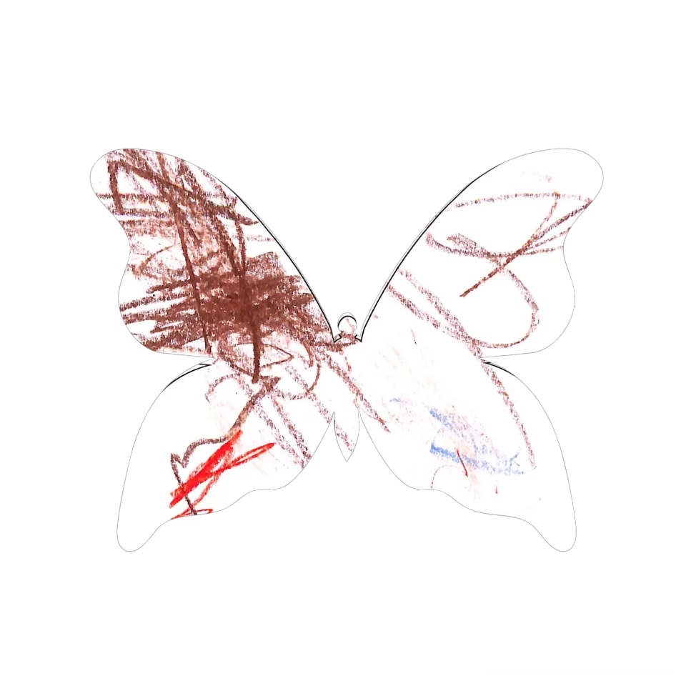 Original Butterfly Image