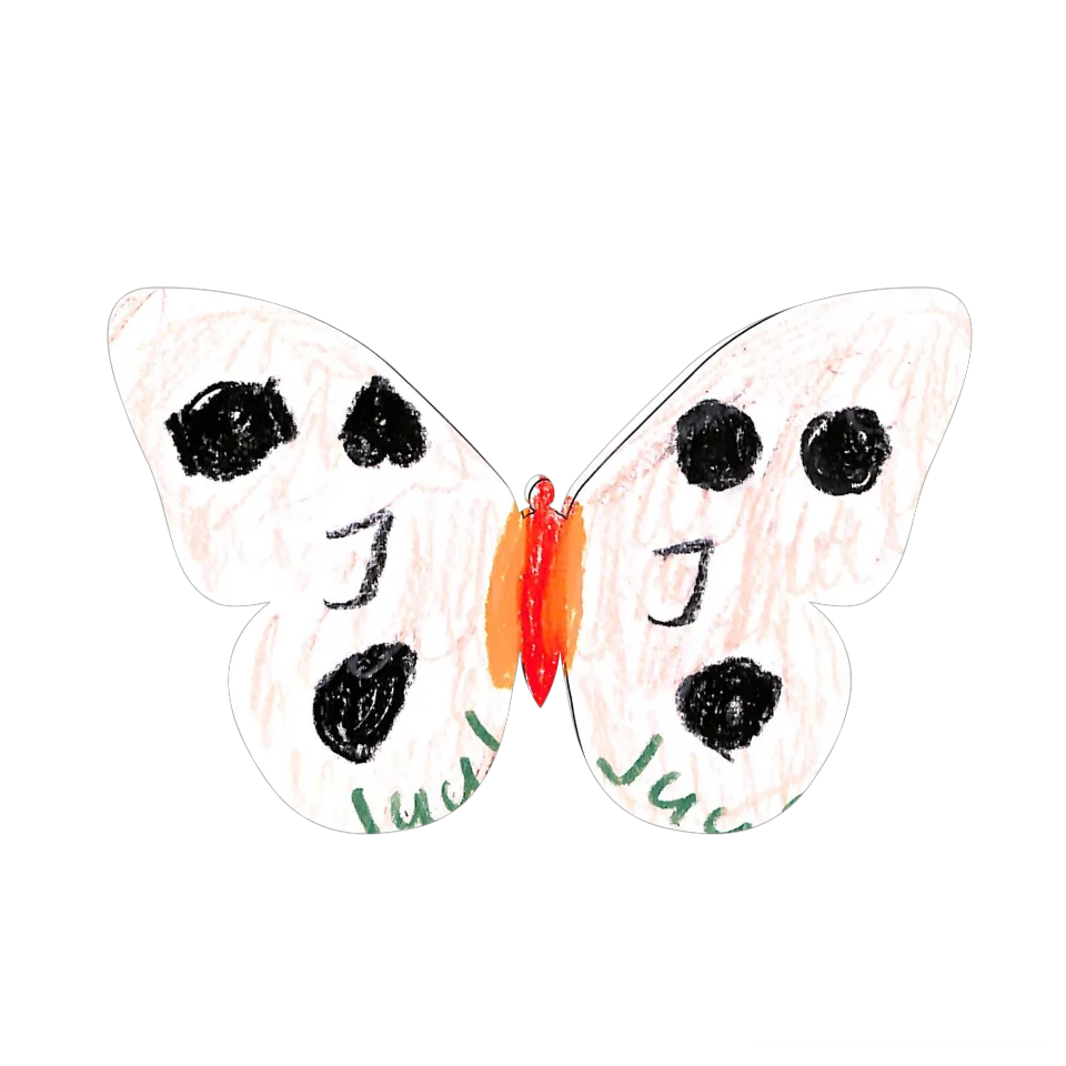 Original Butterfly Image