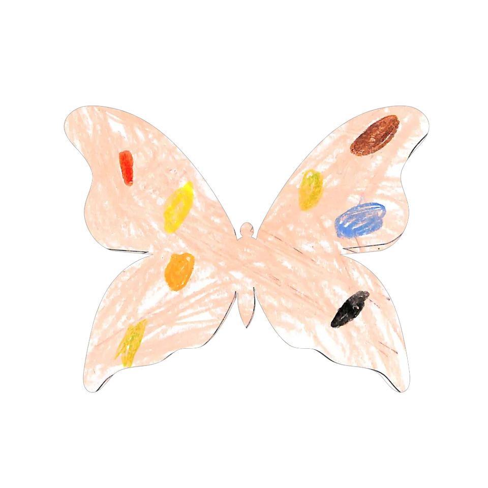 Original Butterfly Image