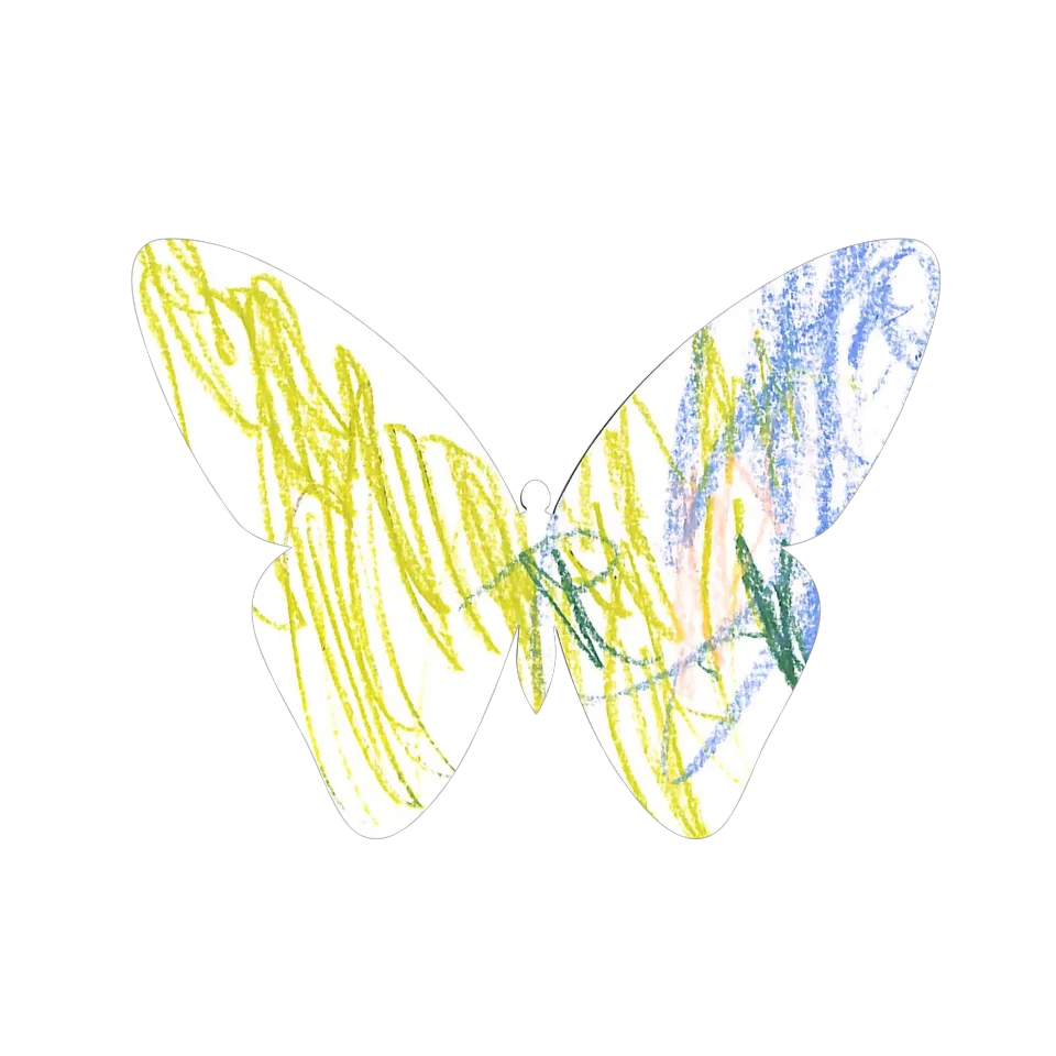 Original Butterfly Image