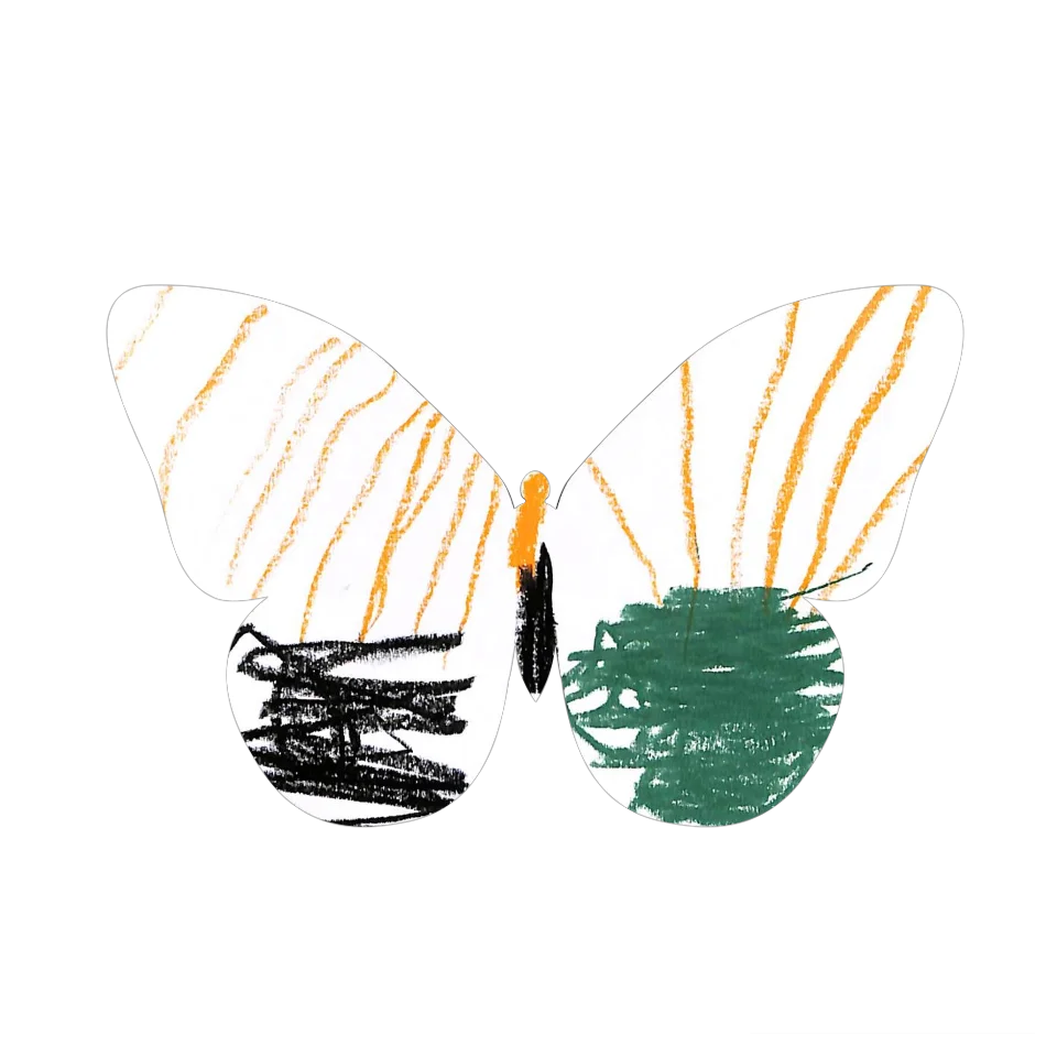 Original Butterfly Image