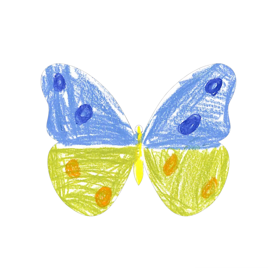 Original Butterfly Image