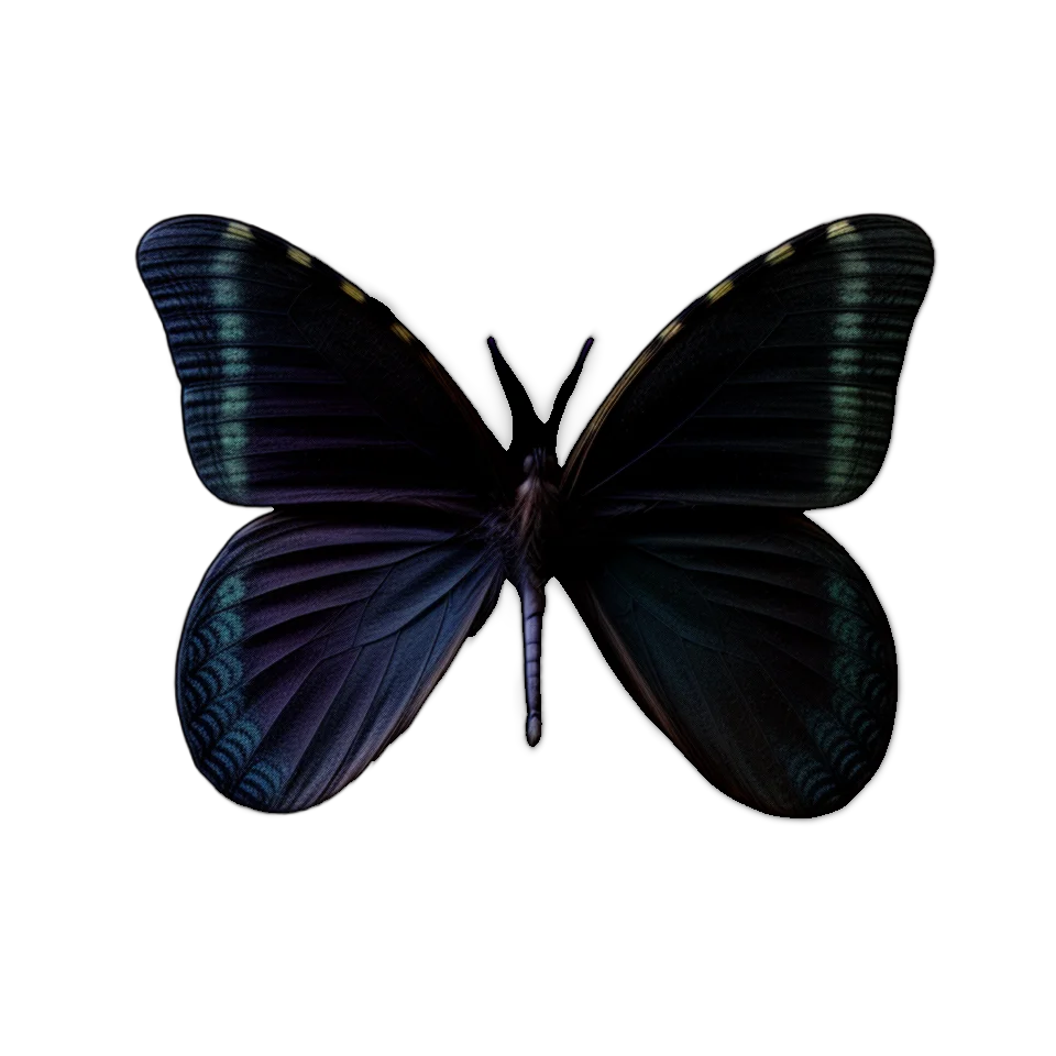 Generated Butterfly Image