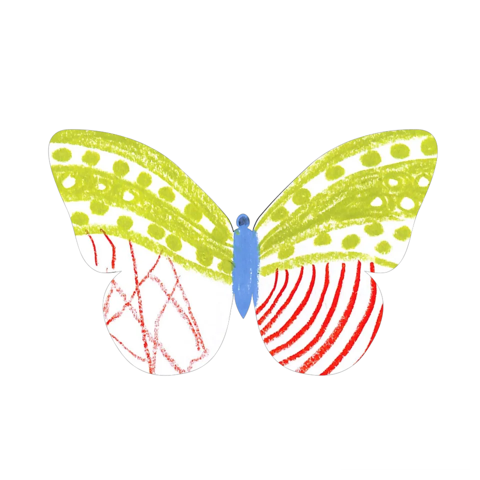 Original Butterfly Image