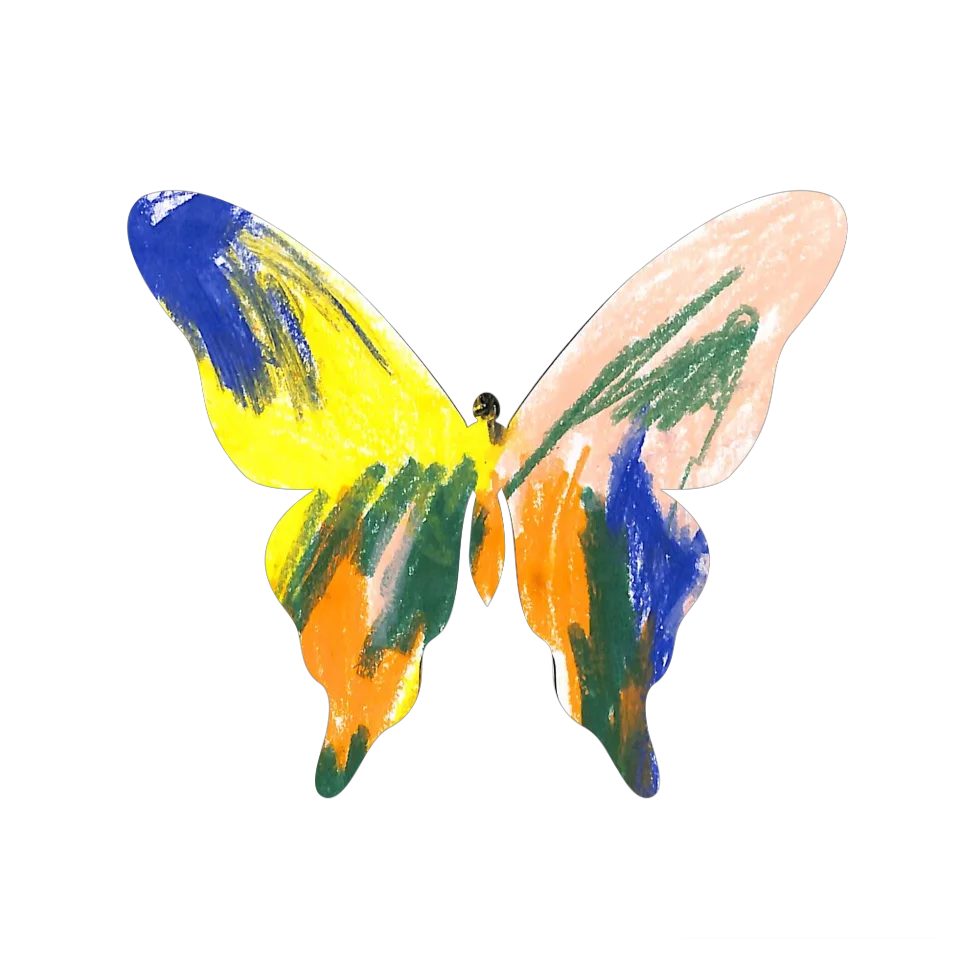 Original Butterfly Image