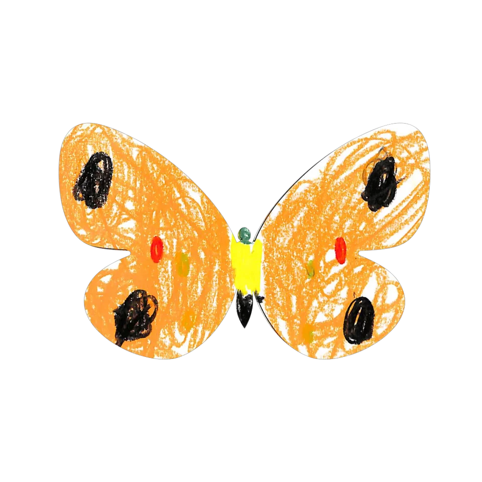 Original Butterfly Image