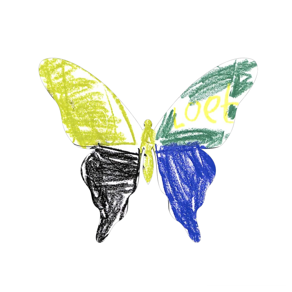 Original Butterfly Image