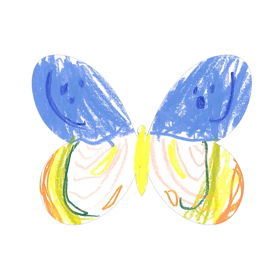 Original Butterfly Image