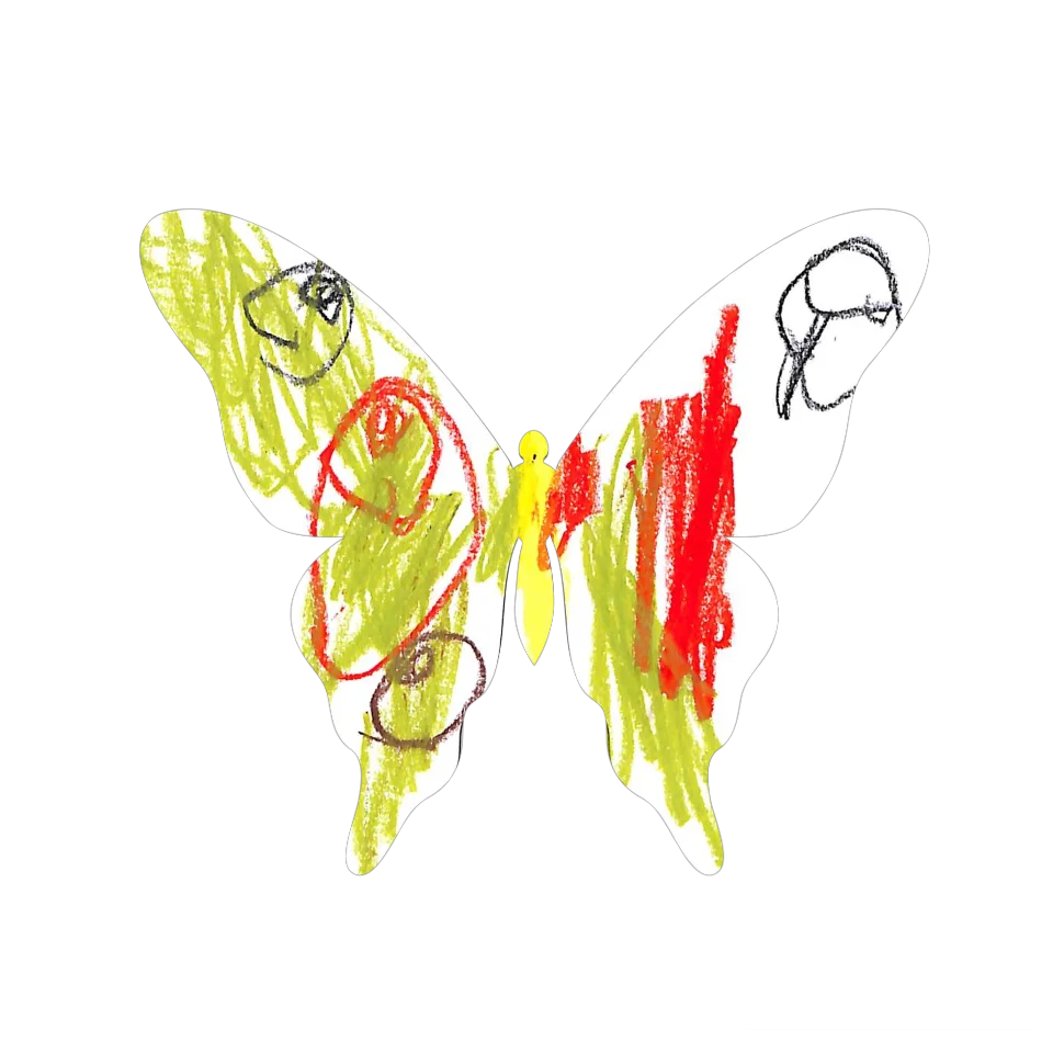 Original Butterfly Image