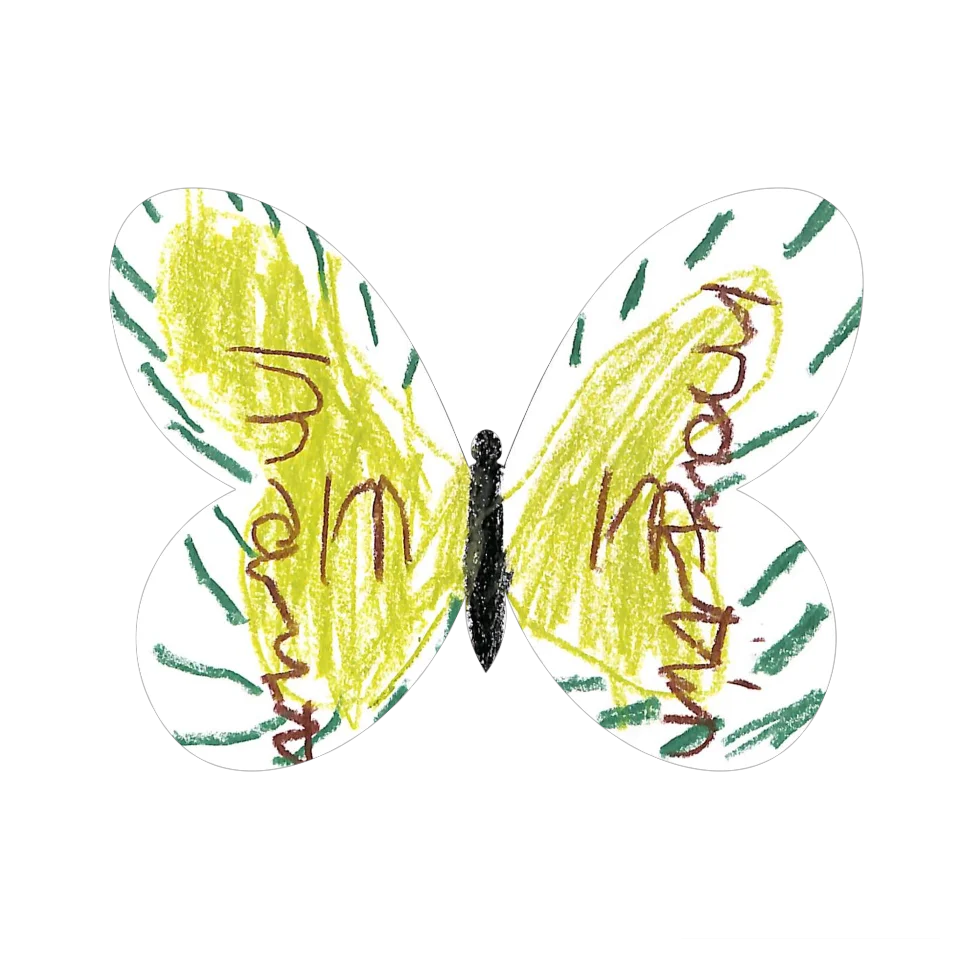 Original Butterfly Image