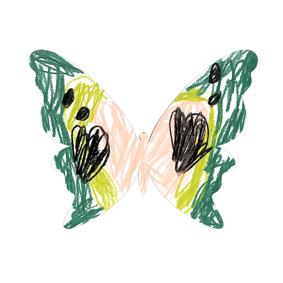 Original Butterfly Image