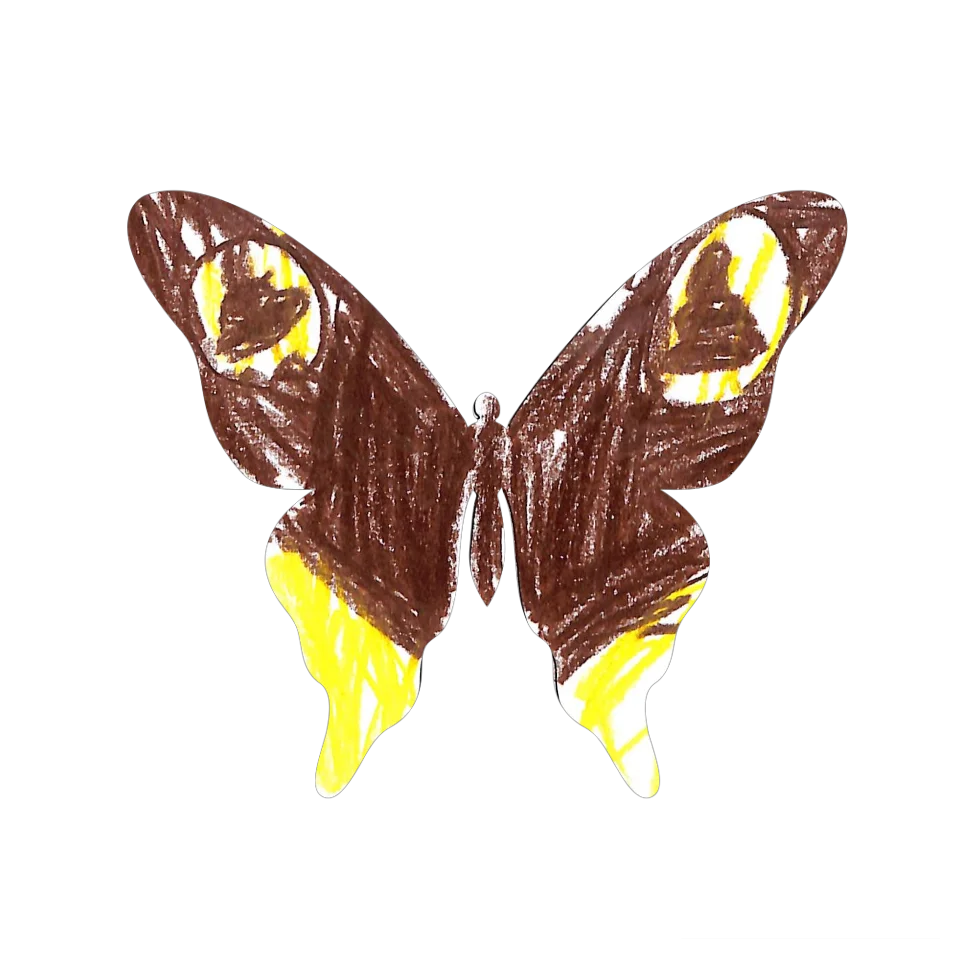 Original Butterfly Image