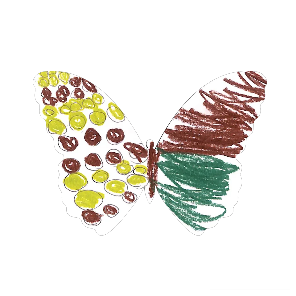 Original Butterfly Image