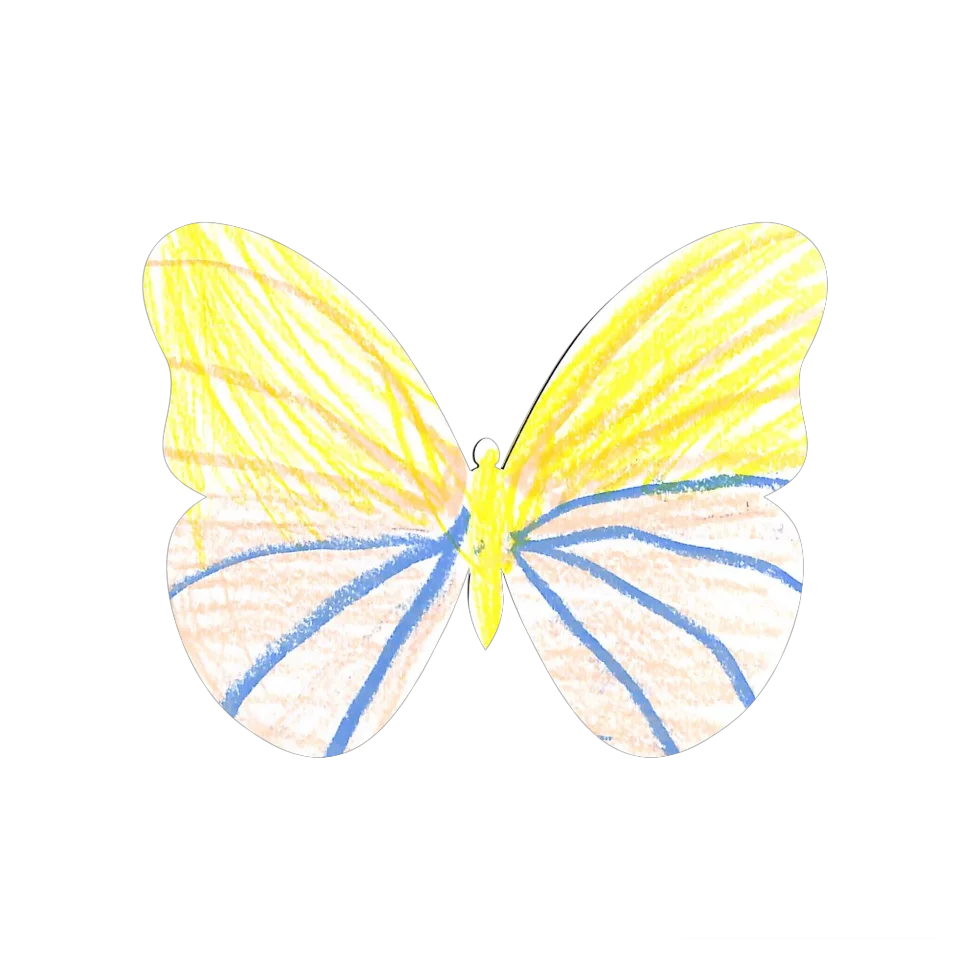 Original Butterfly Image