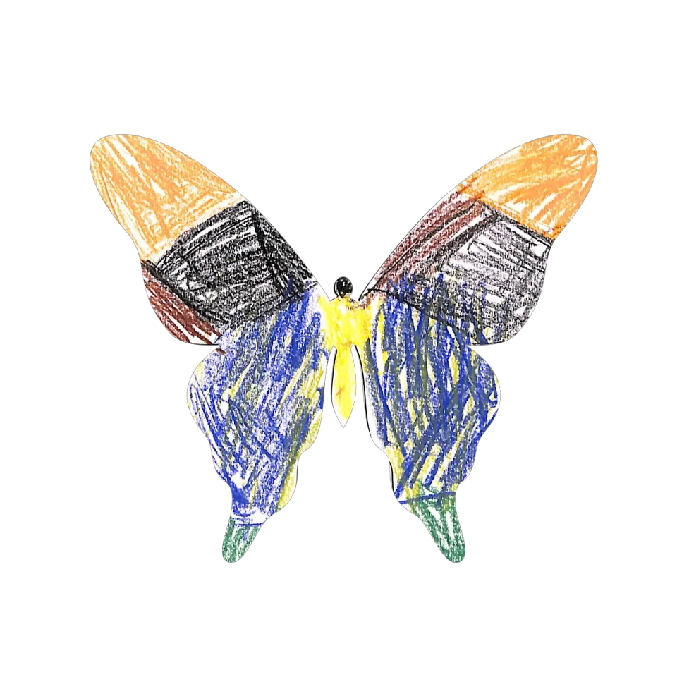 Original Butterfly Image