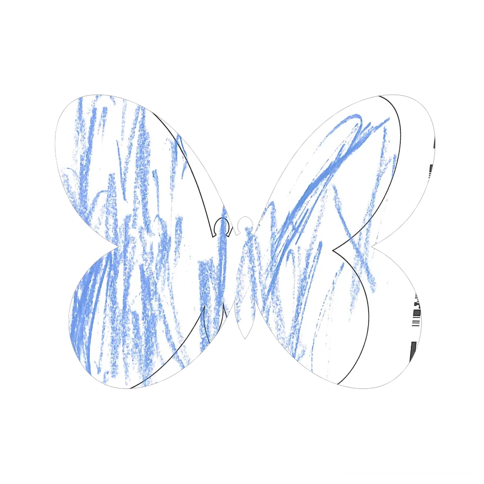 Original Butterfly Image