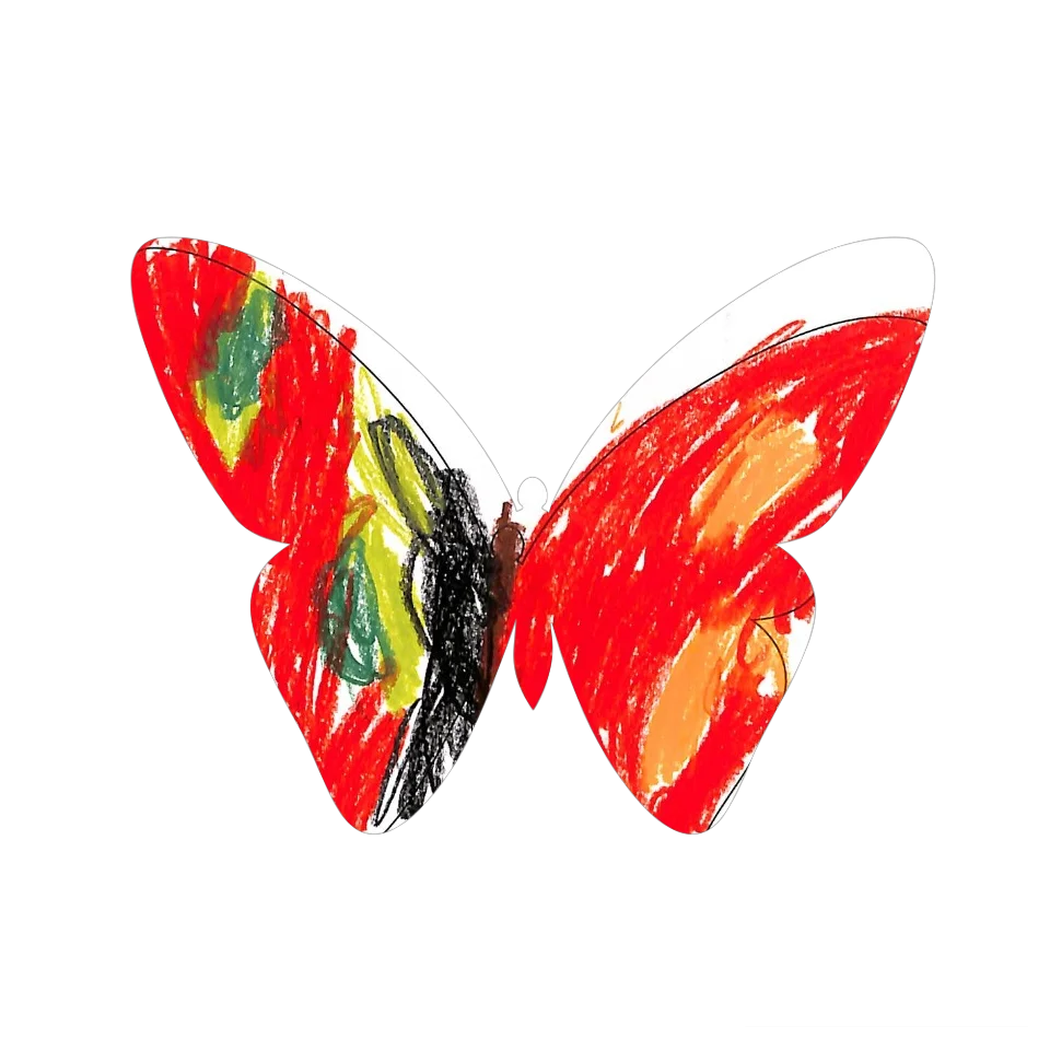 Original Butterfly Image