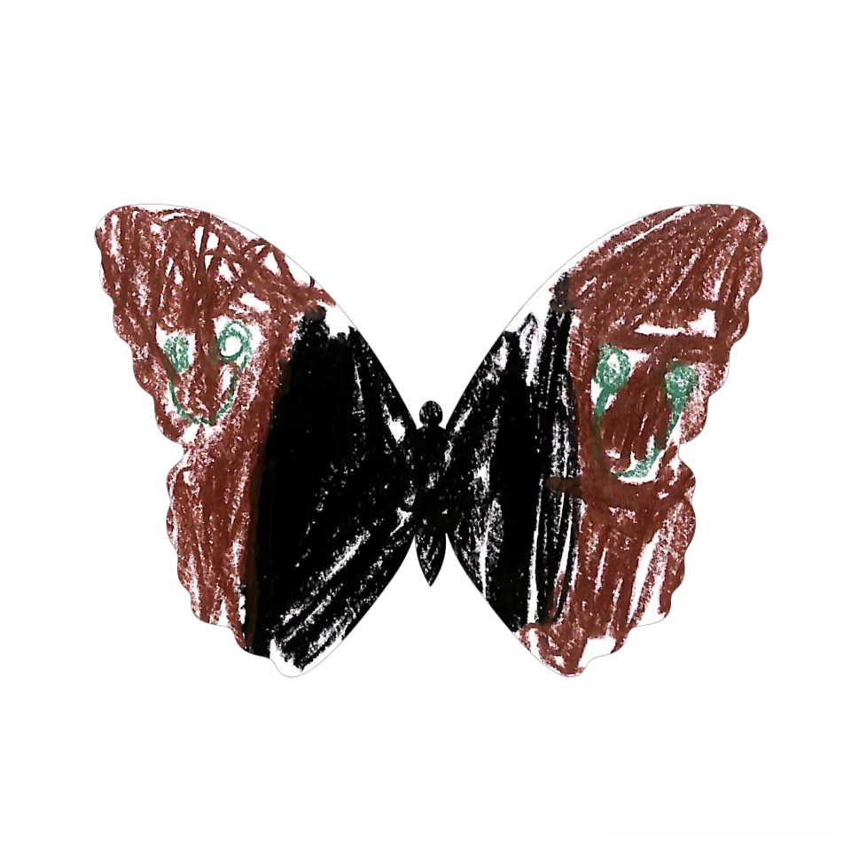 Original Butterfly Image