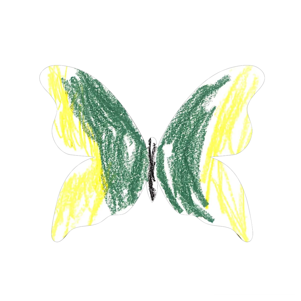 Original Butterfly Image