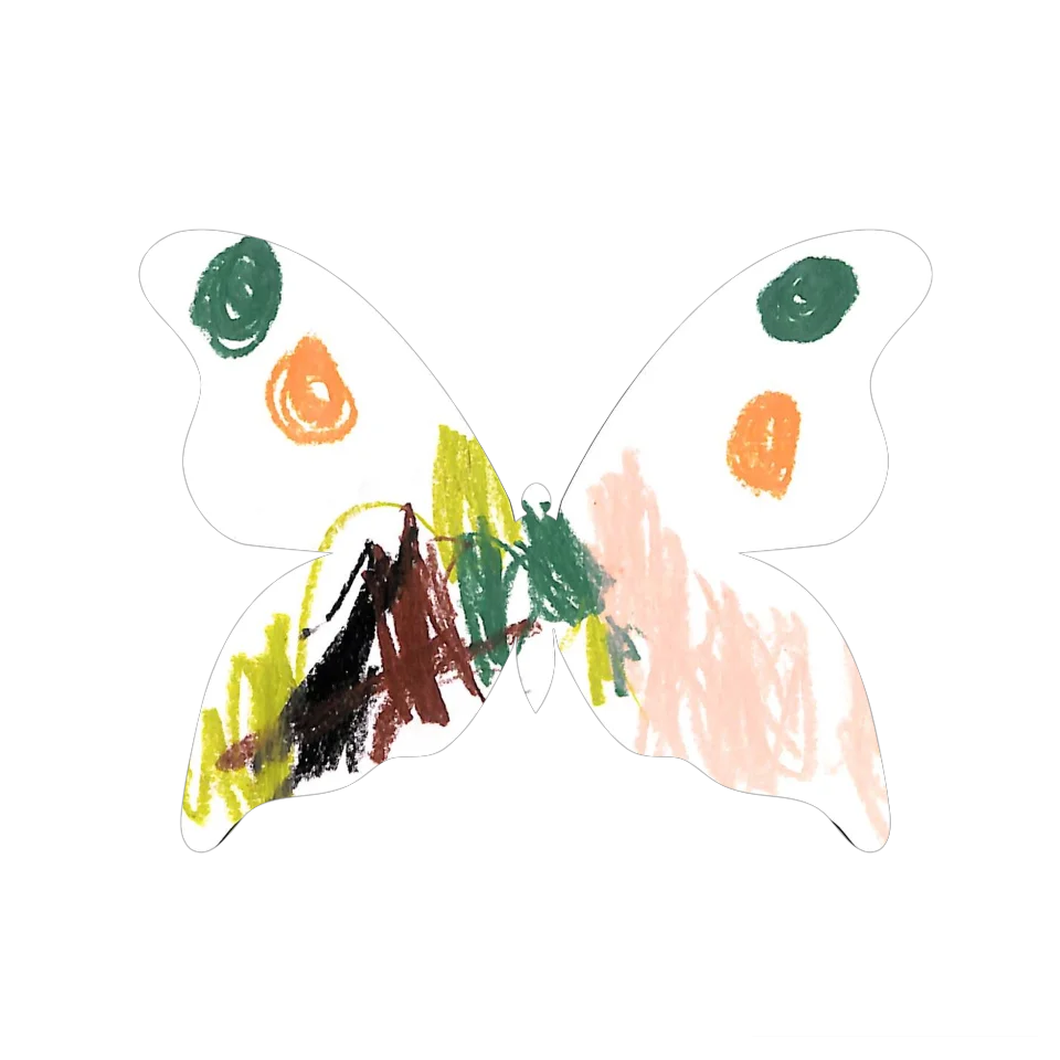 Original Butterfly Image