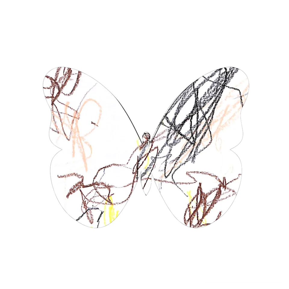 Original Butterfly Image