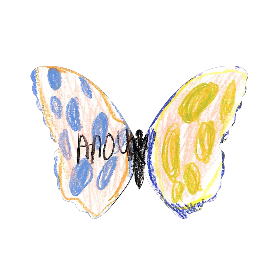 Original Butterfly Image